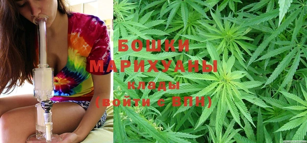 бошки Алзамай
