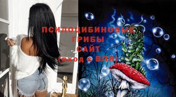 первитин Надым