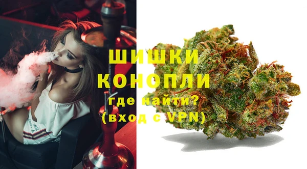 ПСИЛОЦИБИНОВЫЕ ГРИБЫ Алексеевка