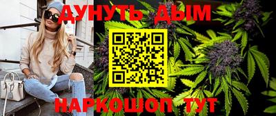 индика Кулебаки
