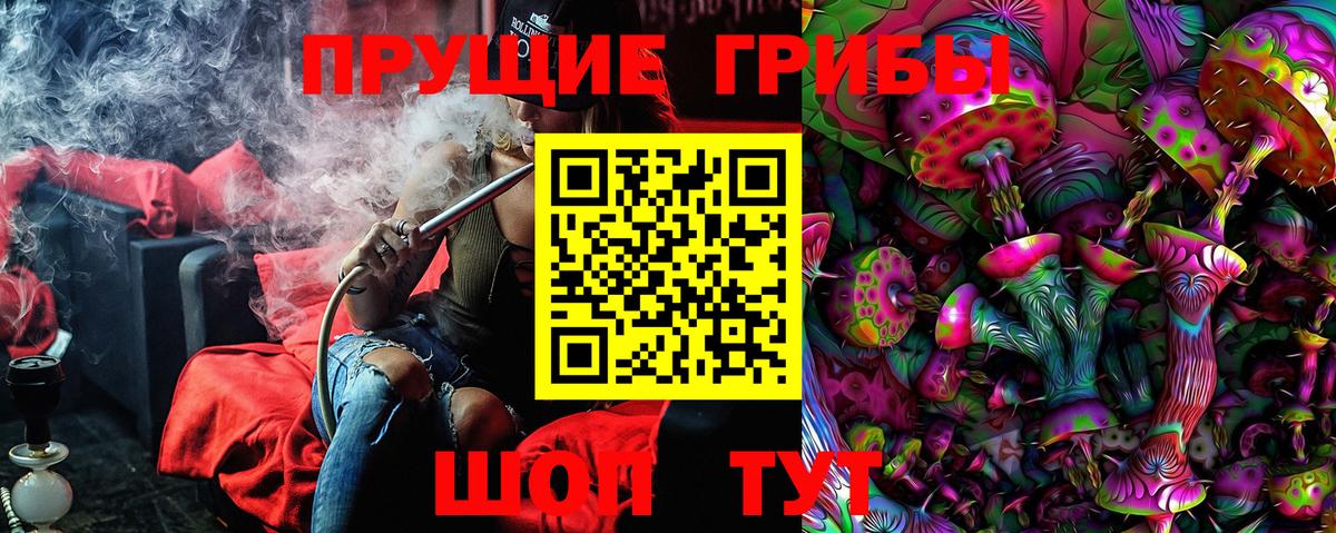 Галлюциногенные грибы Psilocybine cubensis  как найти закладки  Вход с VPN  Камышин  Псилоцибиновые грибы мухоморы 