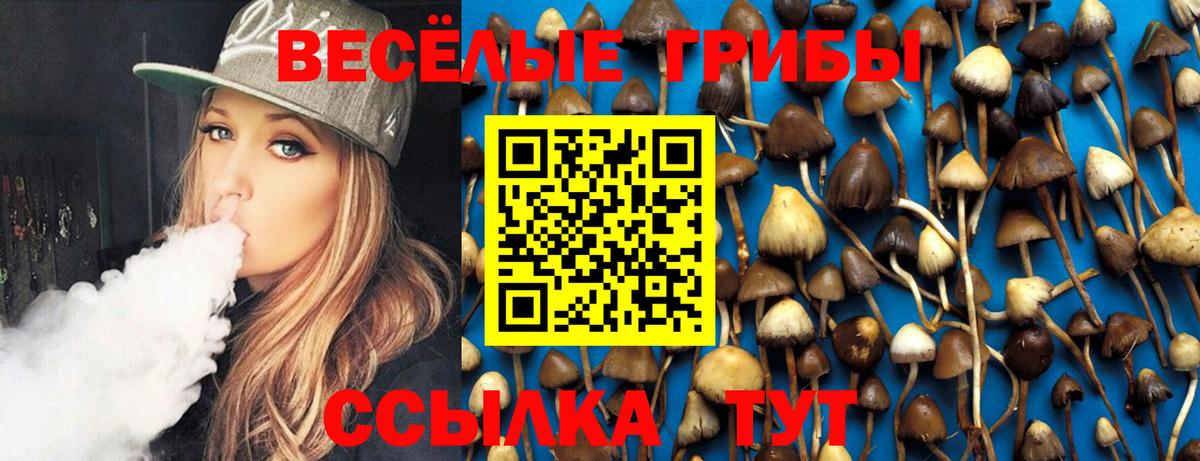 Псилоцибиновые грибы Magic Shrooms Камышин